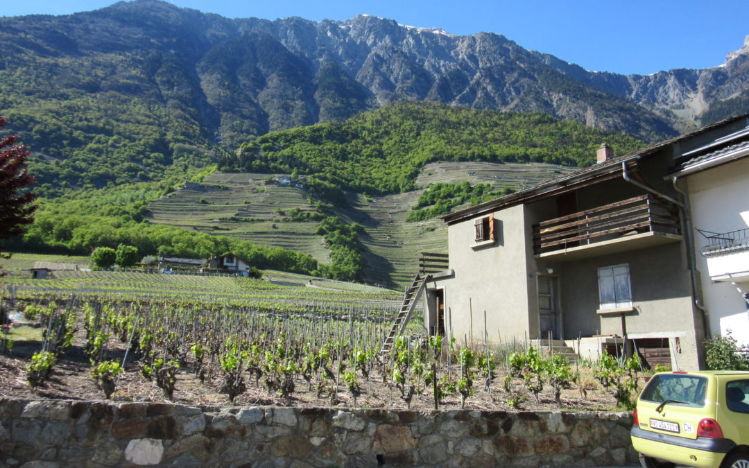 – VENDU – Fully, Mazot à rénover avec terrain à bâtir