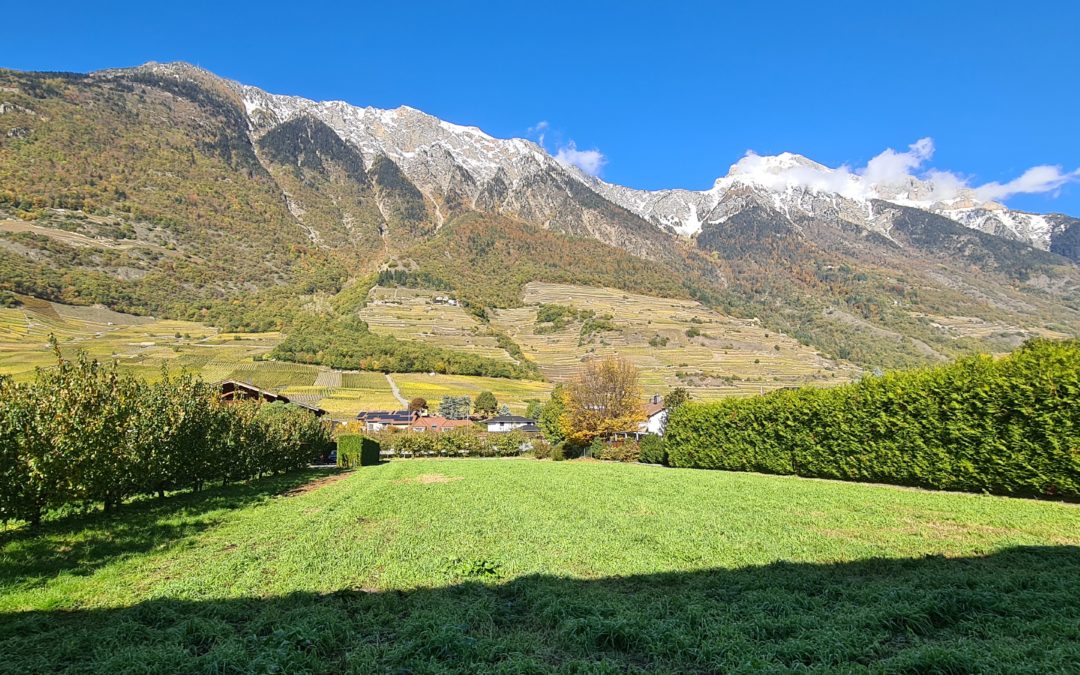 Fully, Terrain à bâtir 436m2, MANDAT LIBRE