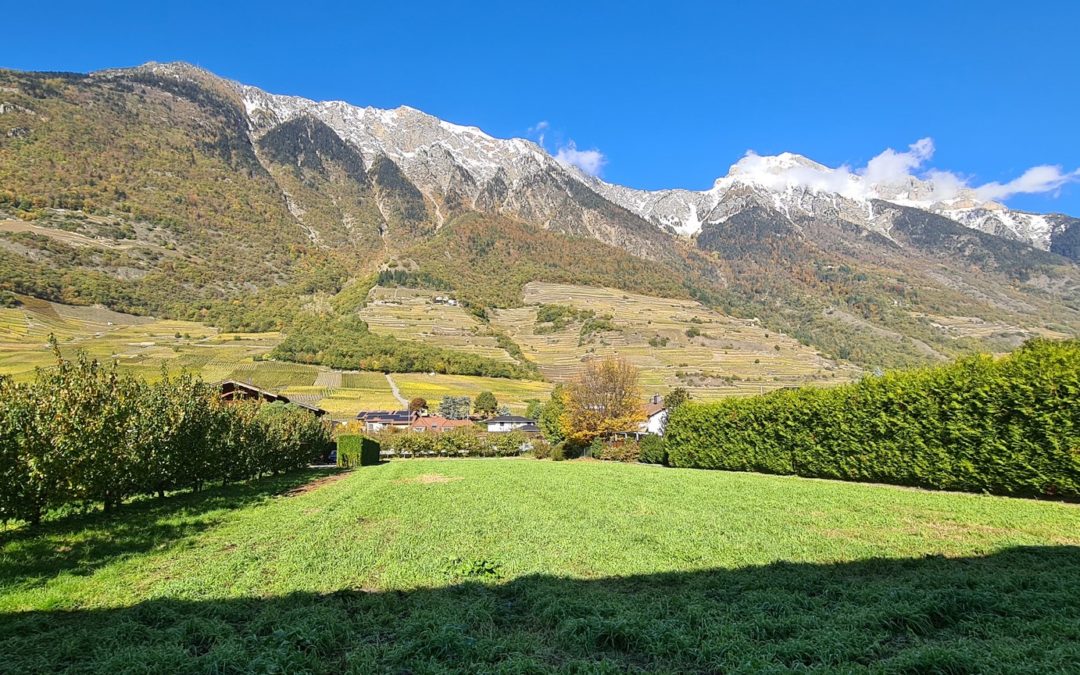 Fully, Terrain à bâtir 872m2 Libre de Mandat